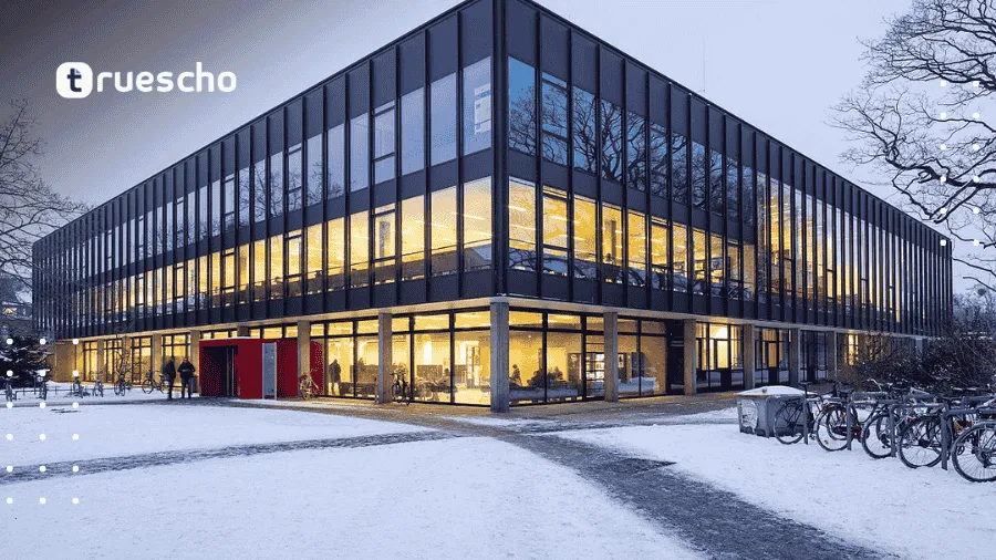 German University Rankings