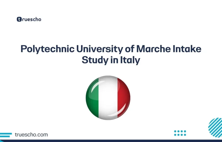 Polytechnic University of Marche
