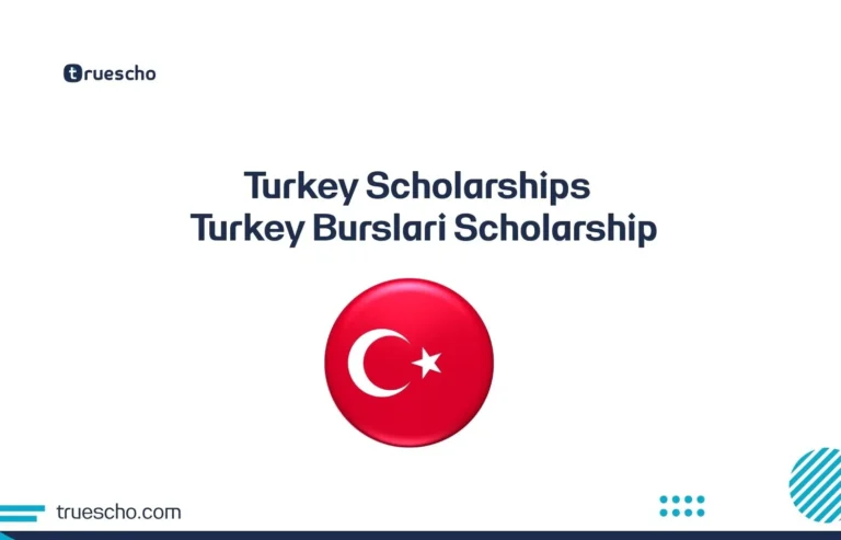 Turkey Scholarships