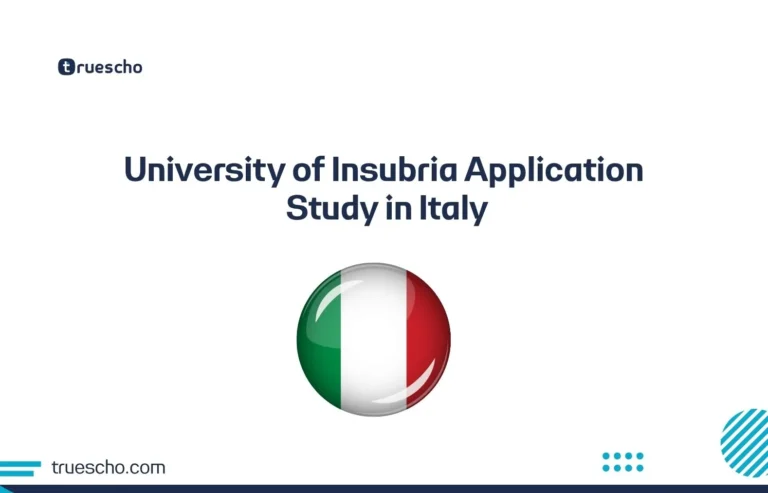 University of Insubria Application