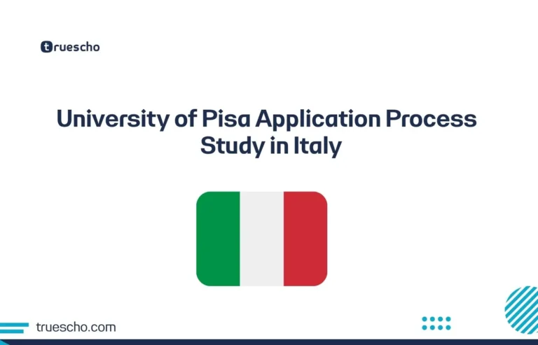 University of Pisa Application Process