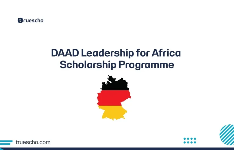 DAAD Leadership for Africa Scholarship
