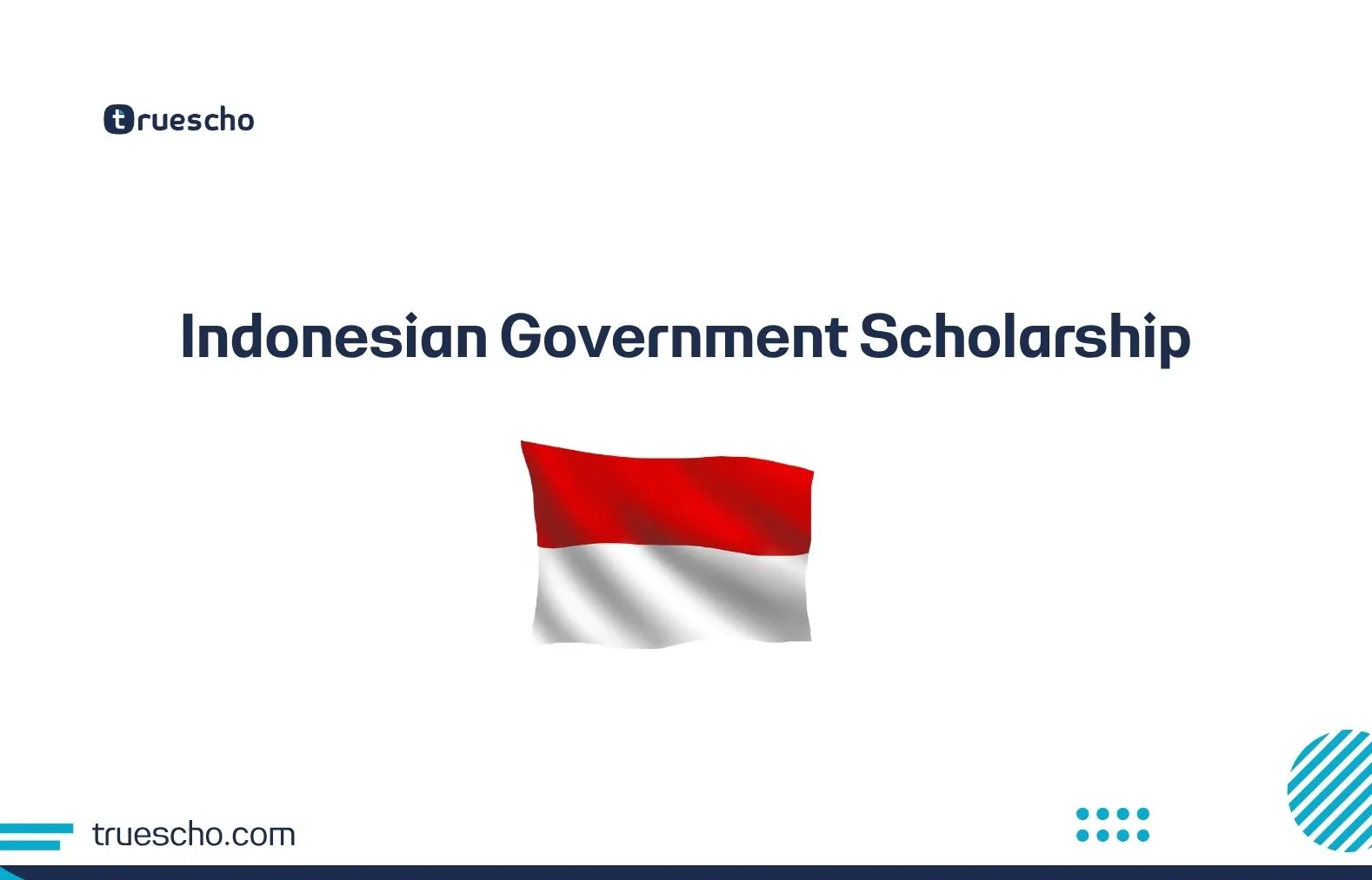 Indonesian Government Scholarship