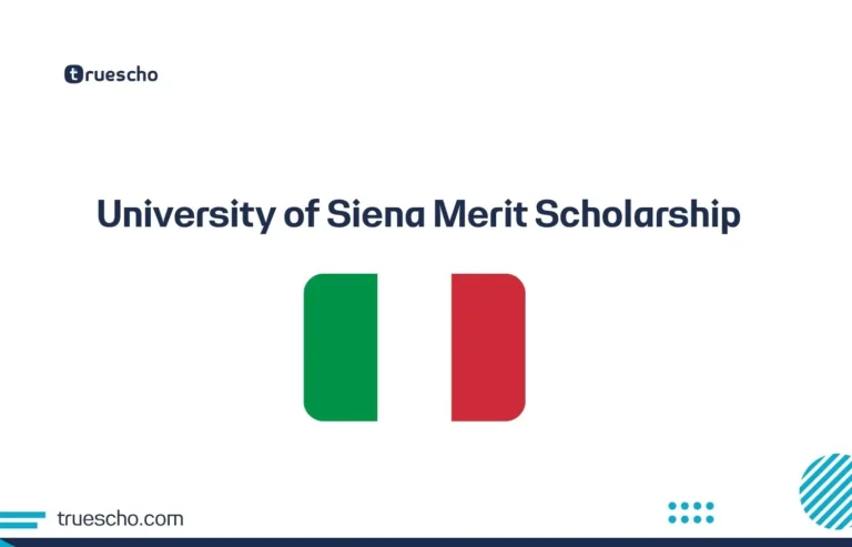 University of Siena Merit Scholarship