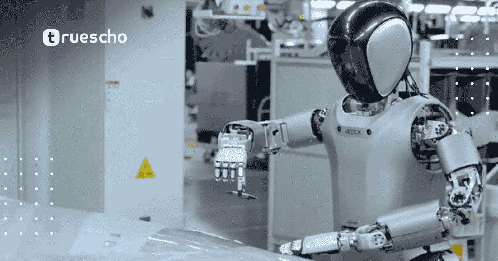 humanoid robots