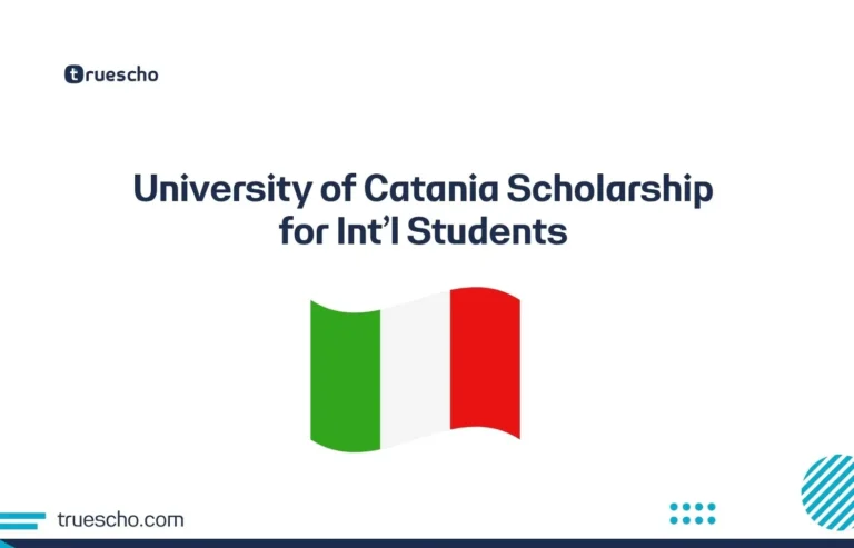 University of Catania Scholarship for Int'l Students