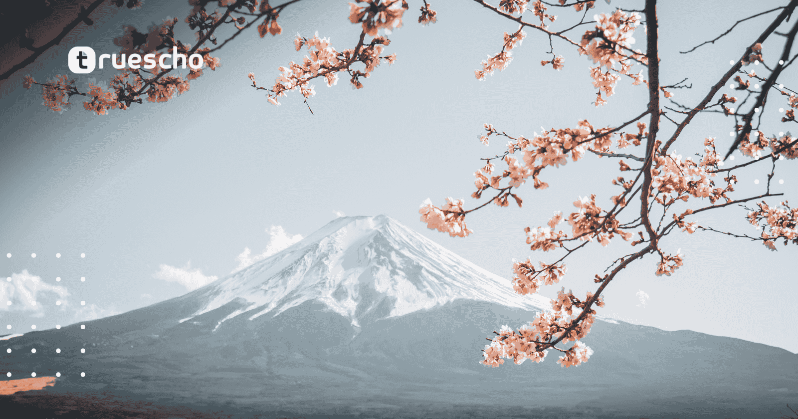 Tokyo Biennale Social Dive