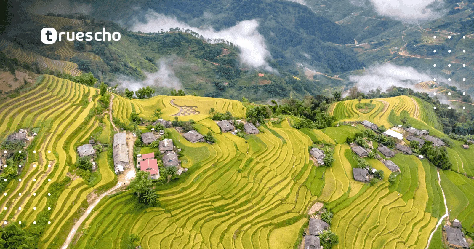 Internet Society Peering Fellowship