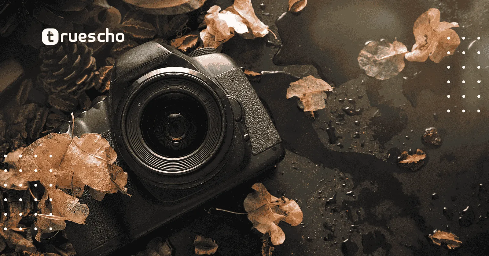 Nikons Small World Competition