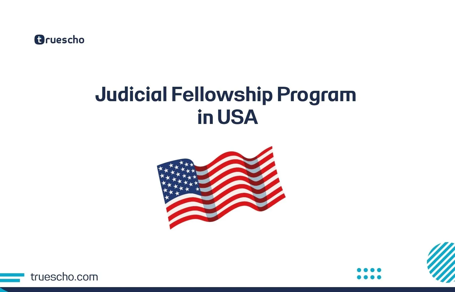 Judicial Fellowship Program