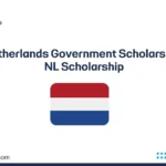 Netherlands Government Scholarship