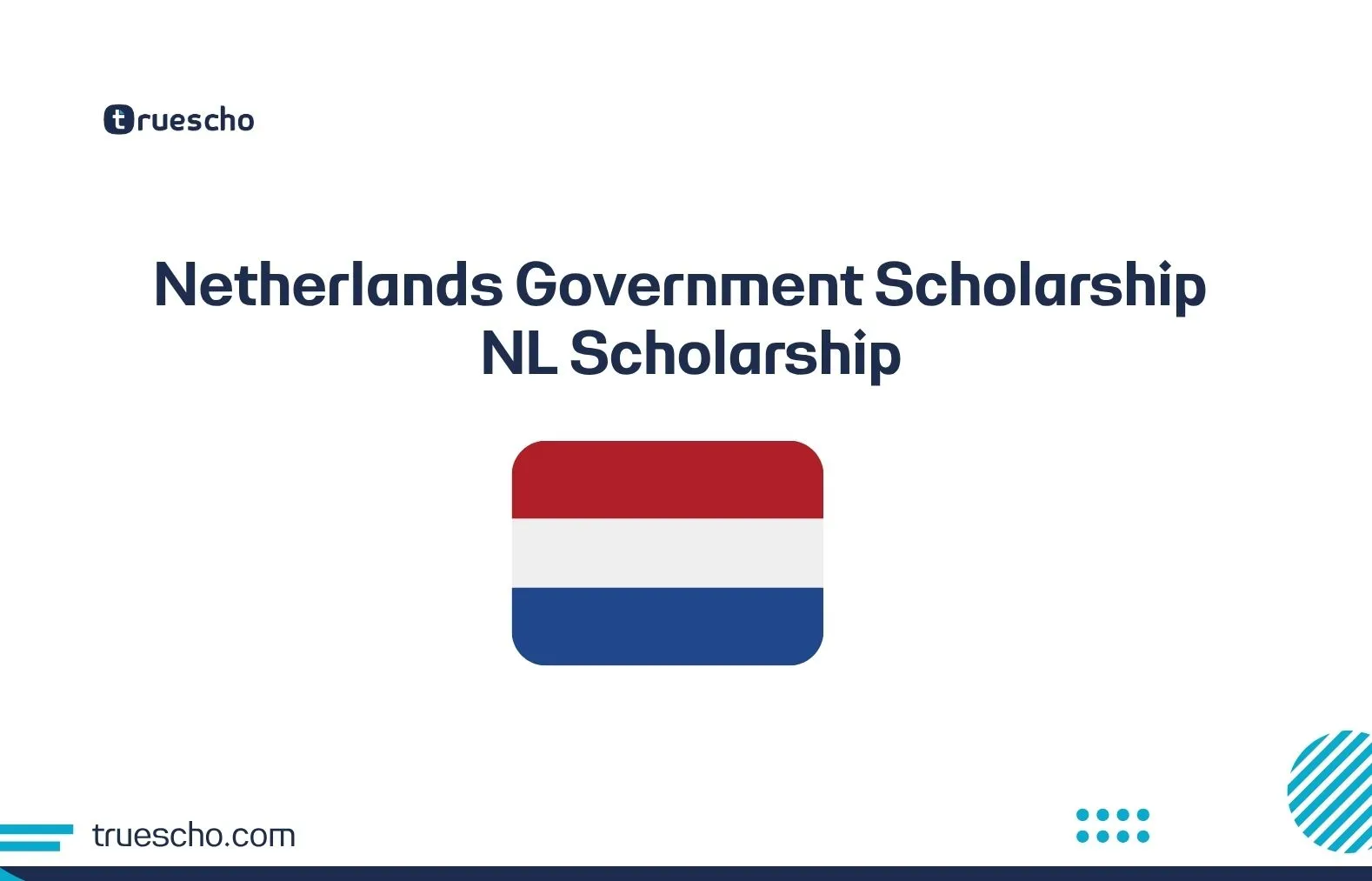 Netherlands Government Scholarship