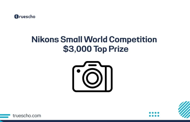 Nikons Small World Competition