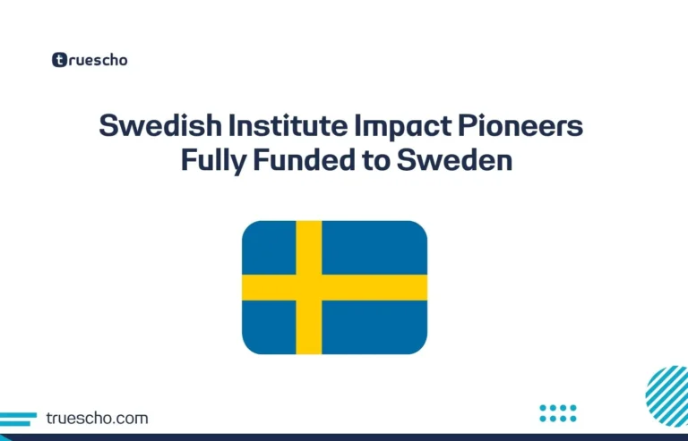 Swedish Institute Impact Pioneers