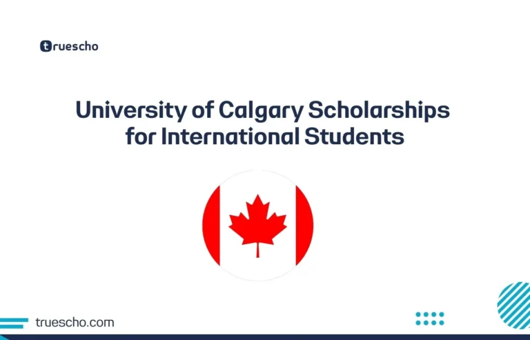 University of Calgary Scholarships