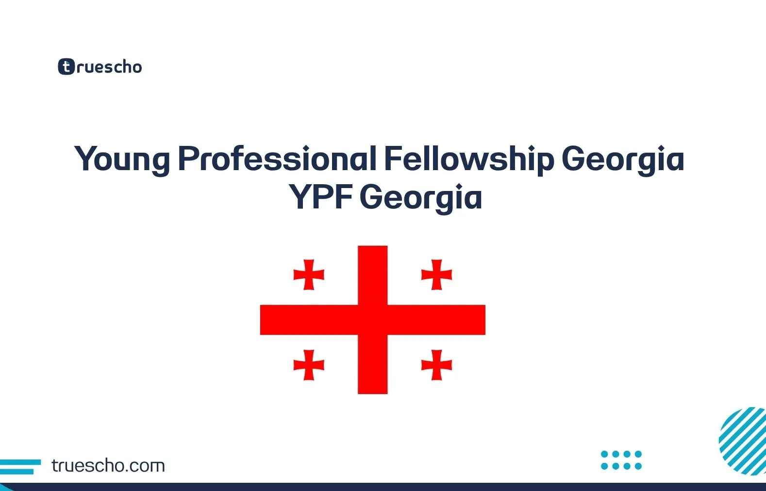 Young Professional Fellowship Georgia