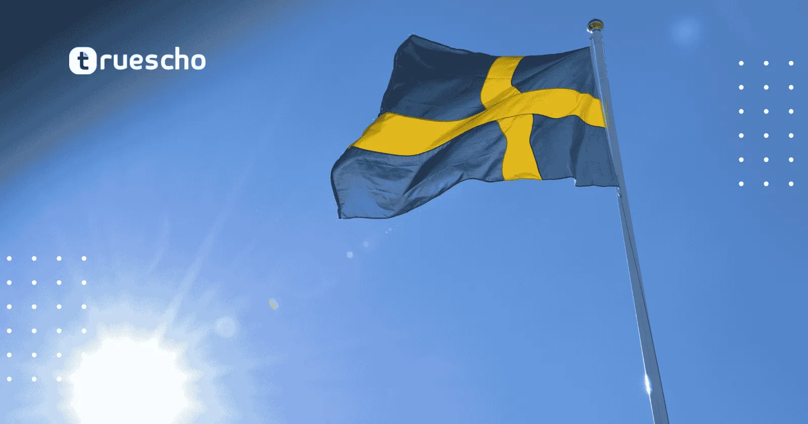 Swedish Institute Impact Pioneers