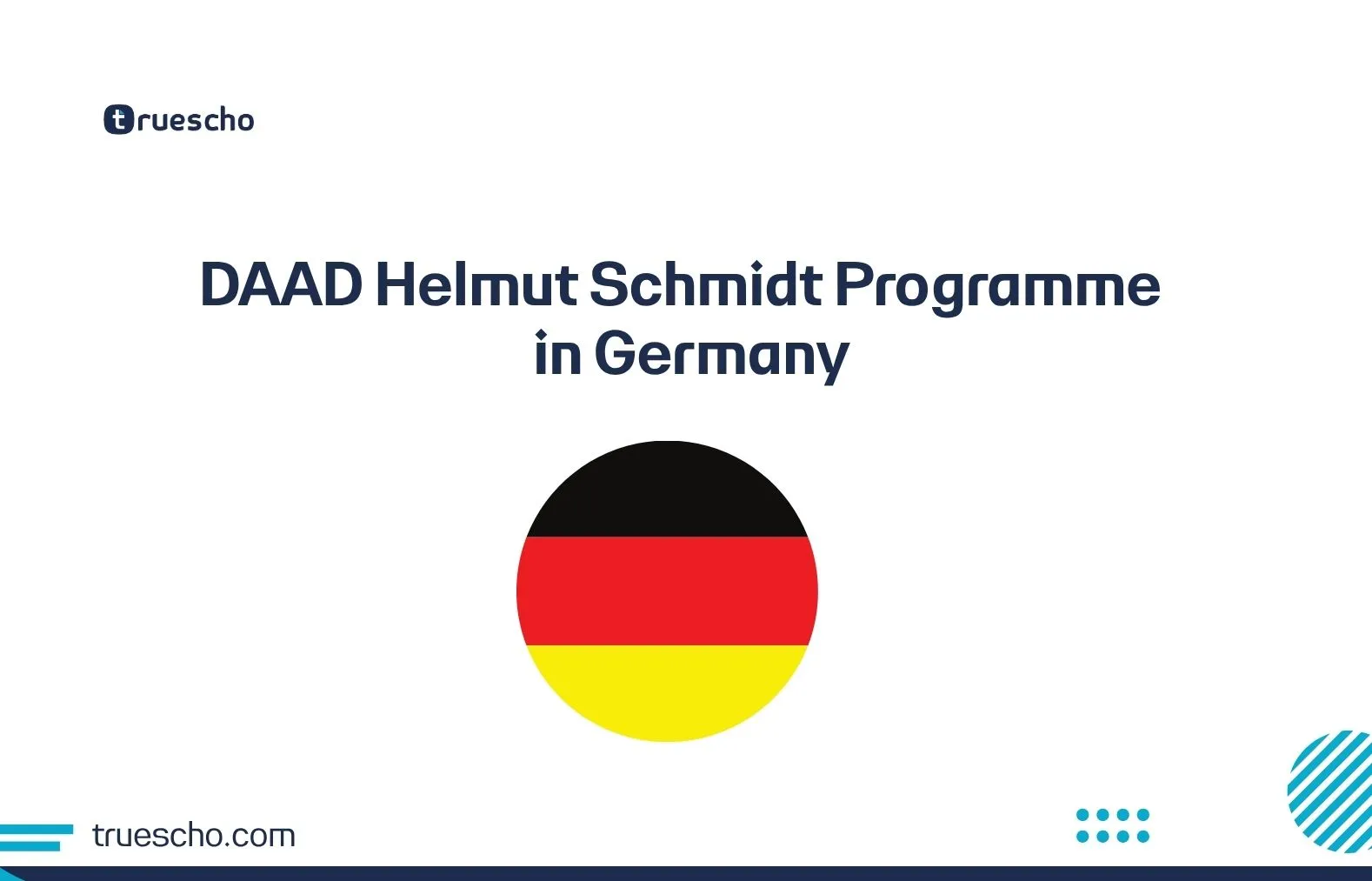 DAAD Helmut Schmidt Programme