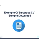 Example Of Europass CV