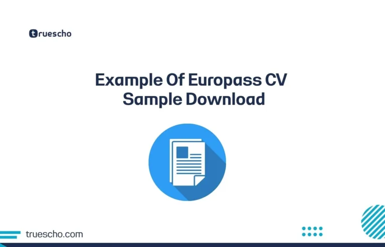 Example Of Europass CV