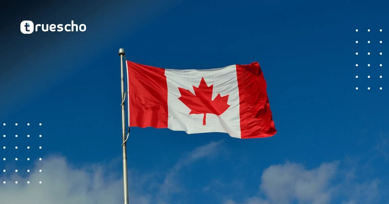 Dalhousie University Scholarships