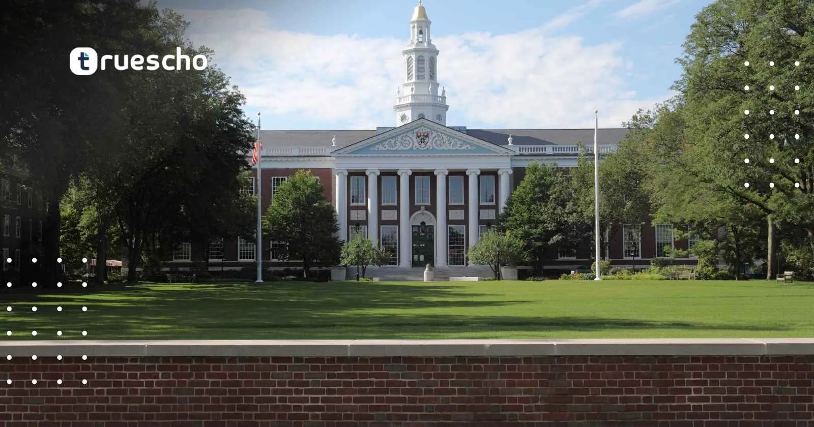 Harvard Free Courses