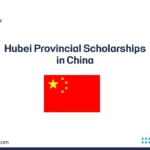 Hubei Provincial Scholarships