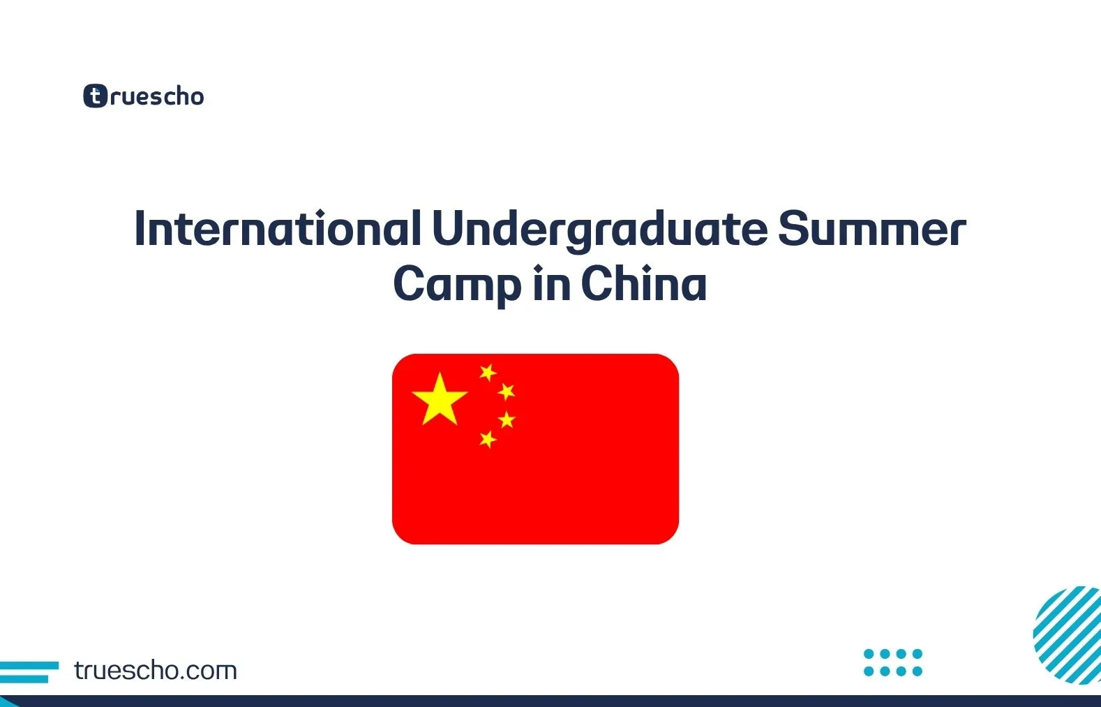 International Undergraduate Summer Camp