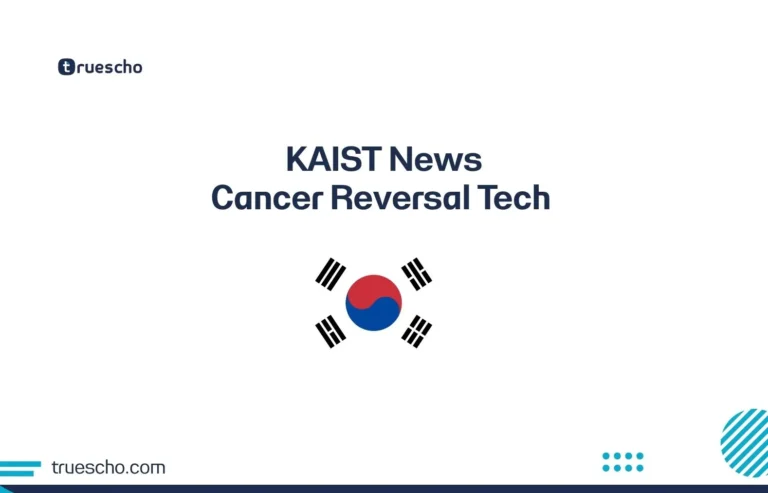 KAIST News