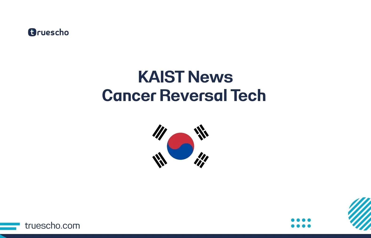 KAIST News