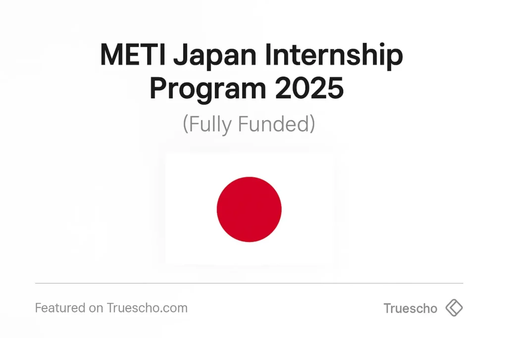 METI Japan Internship Program