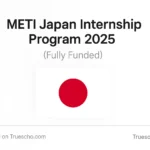 METI Japan Internship Program