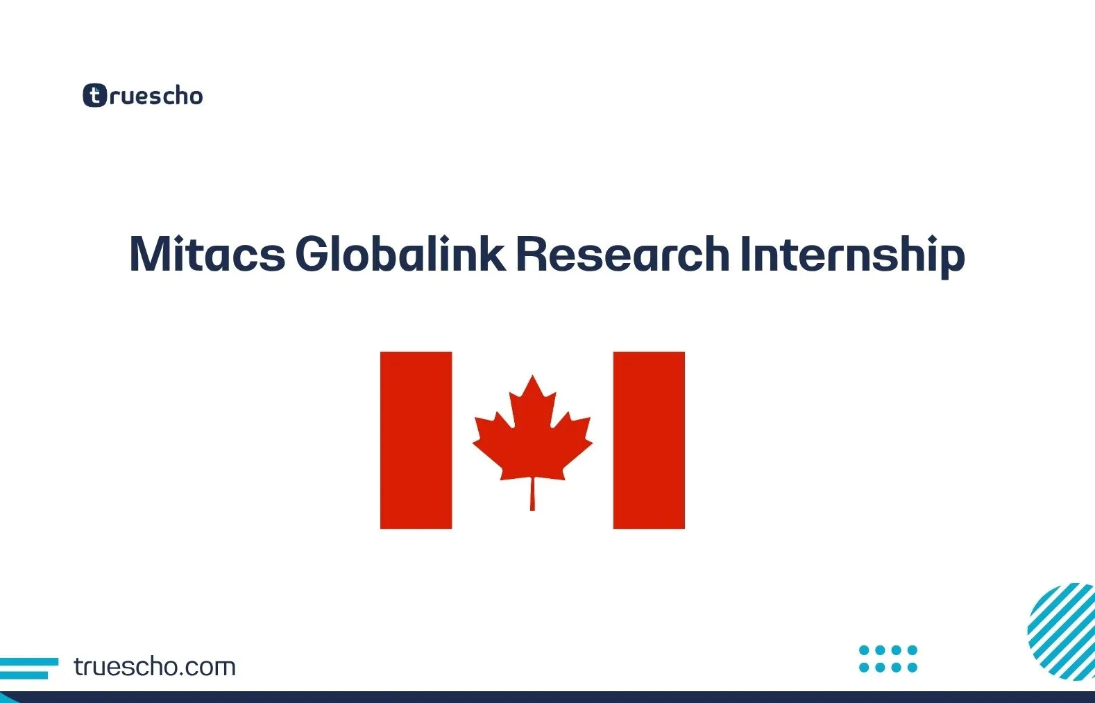 Mitacs Globalink Research Internship