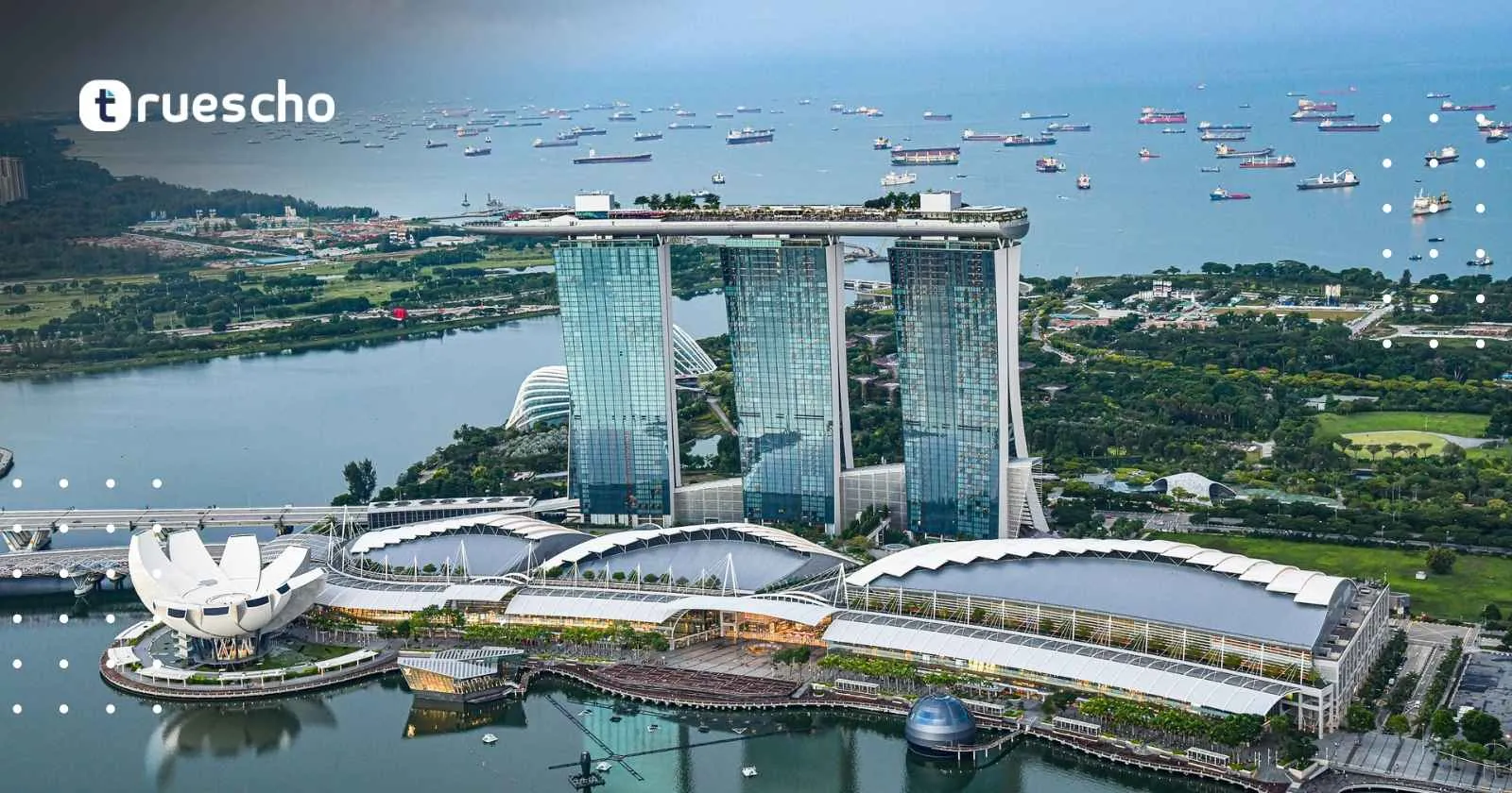 NTU Singapore Global Connect Fellowship