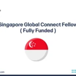 NTU Singapore Global Connect Fellowship