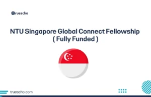 NTU Singapore Global Connect Fellowship