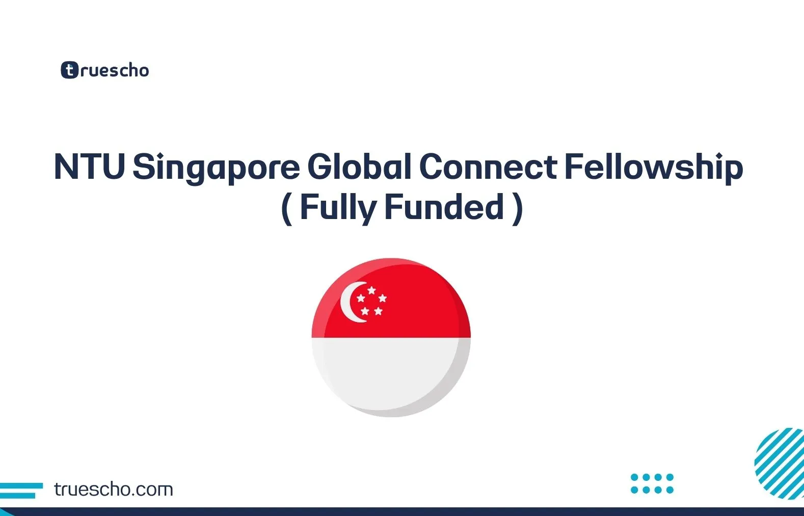NTU Singapore Global Connect Fellowship