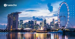 NTU Singapore Global Connect Fellowship