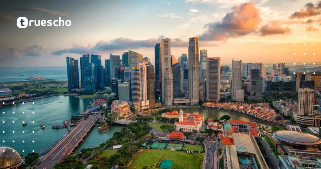 NUS Scholarship Application