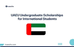 UAEU Undergraduate Scholarships