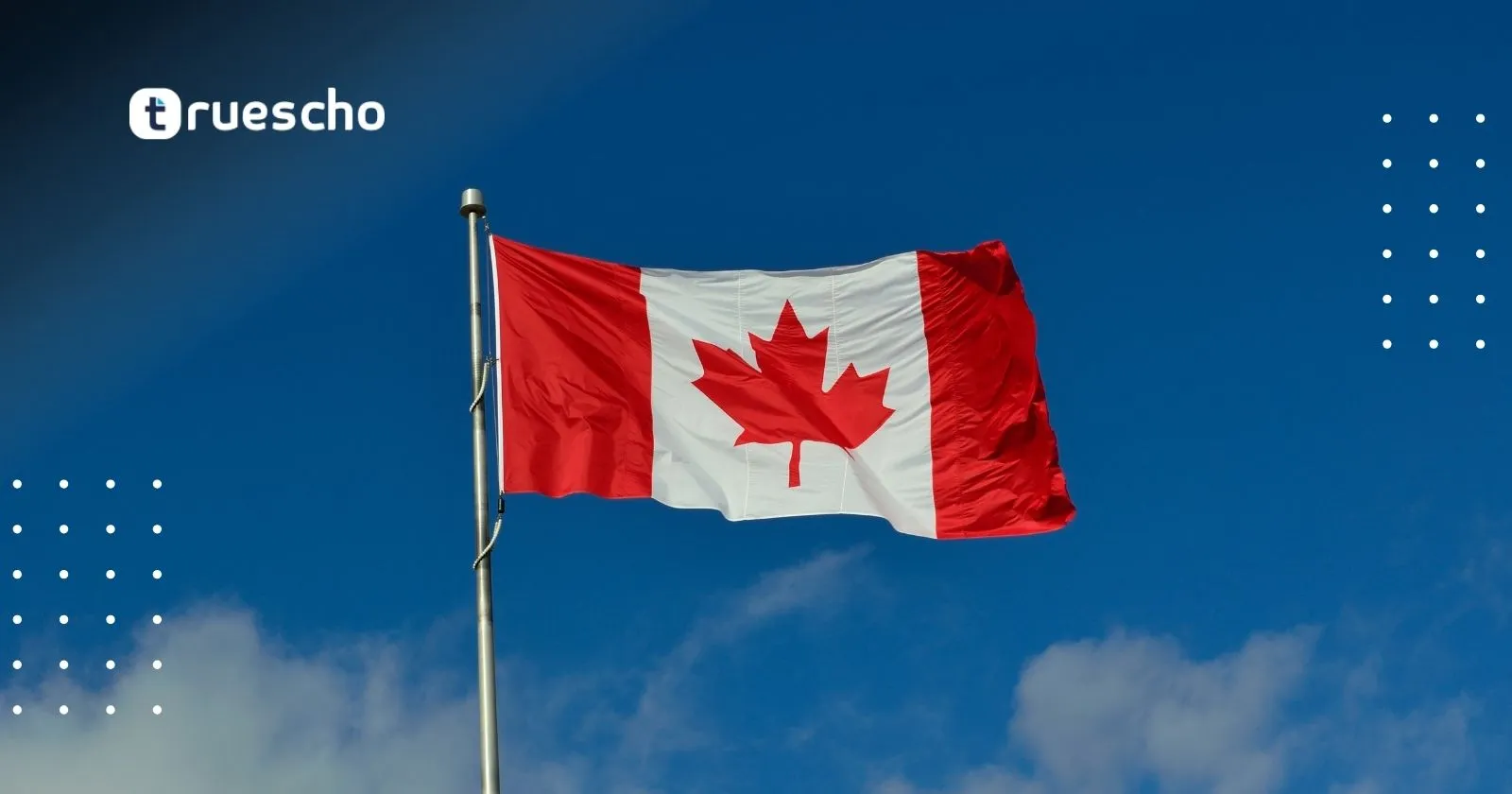 University of Alberta Scholarships