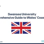 Swansea University