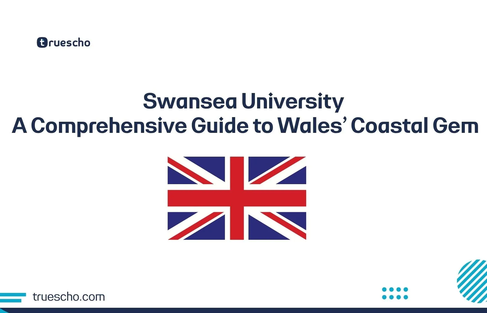 Swansea University