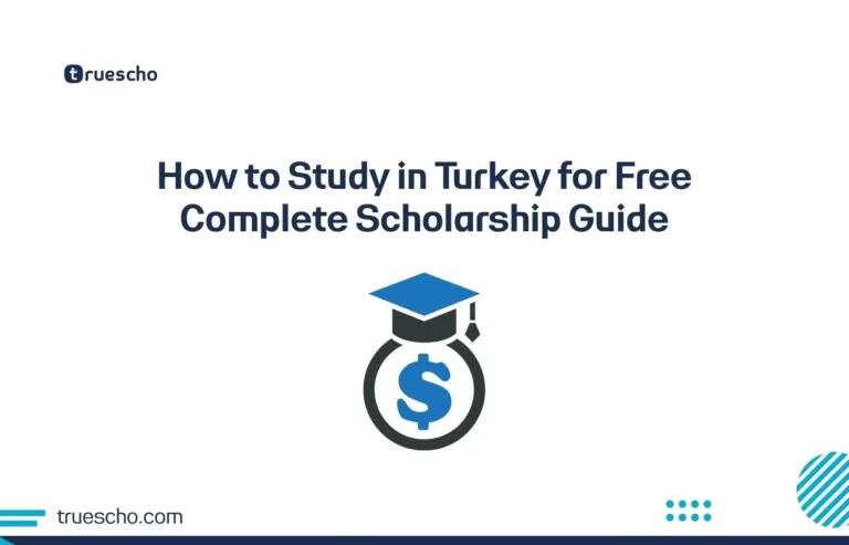 How to Study in Turkey for Free
