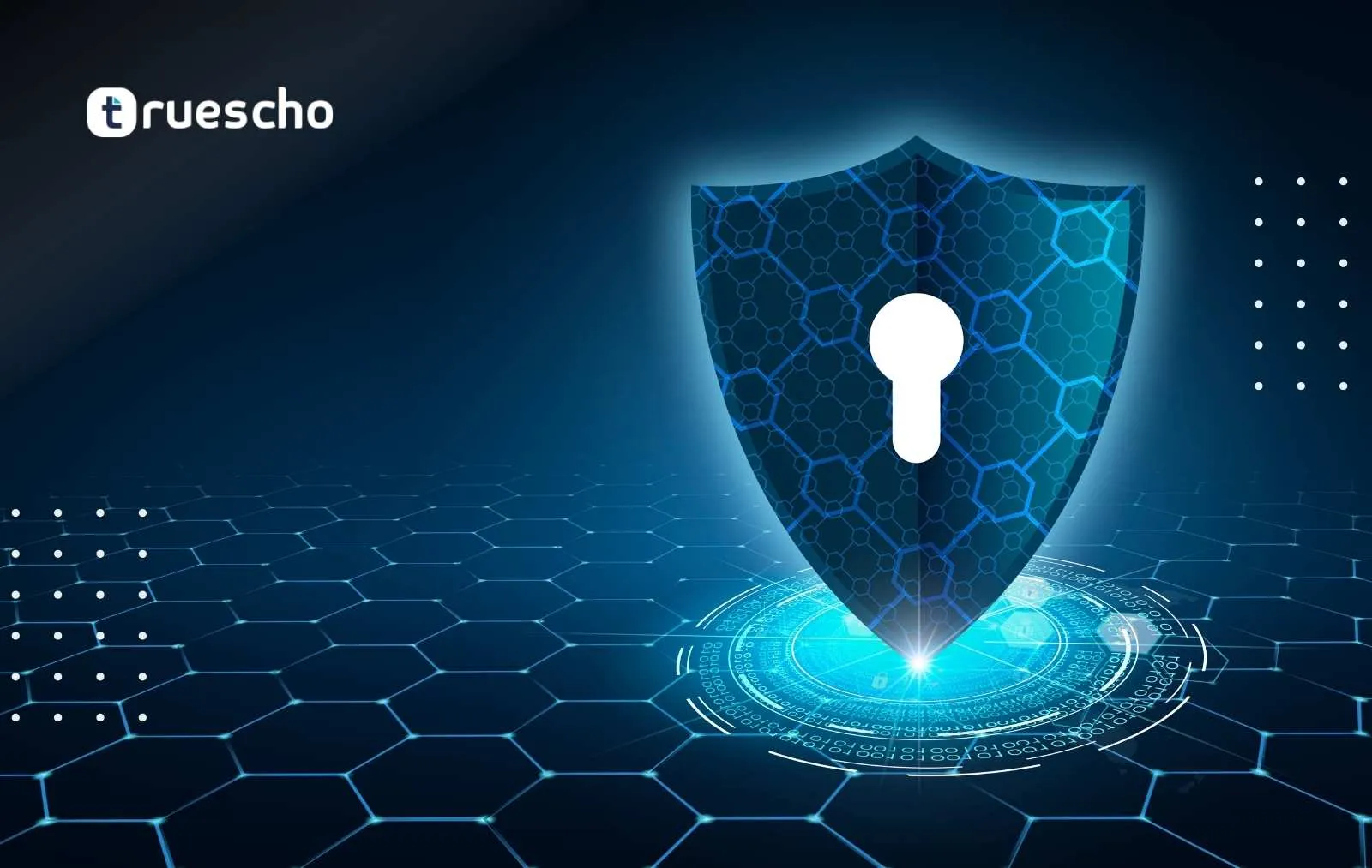 Study Bachelor Cyber Security in Turkey