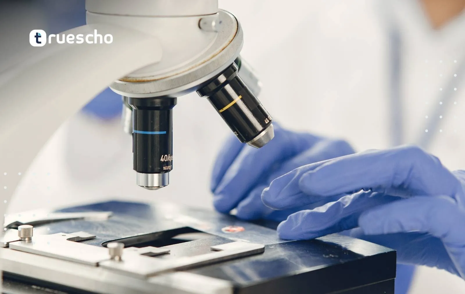 Study Biomedical Engineering in Germany