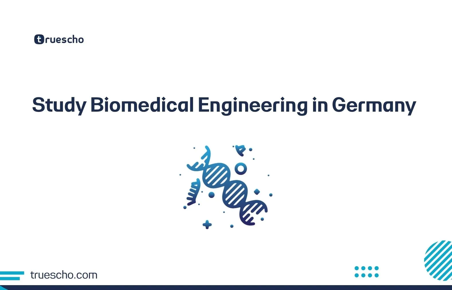 Study Biomedical Engineering in Germany