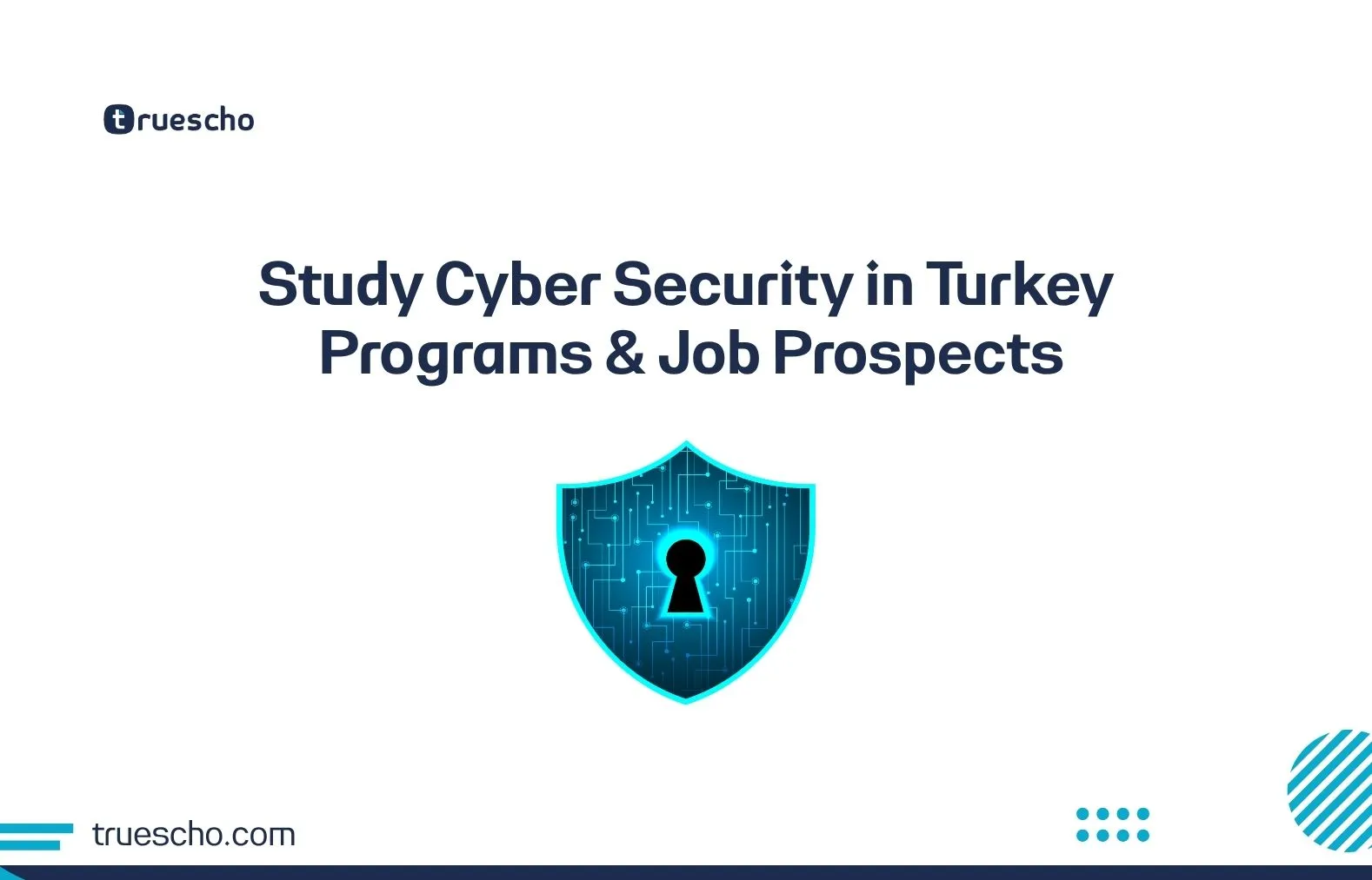 Study Cyber Security in Turkey