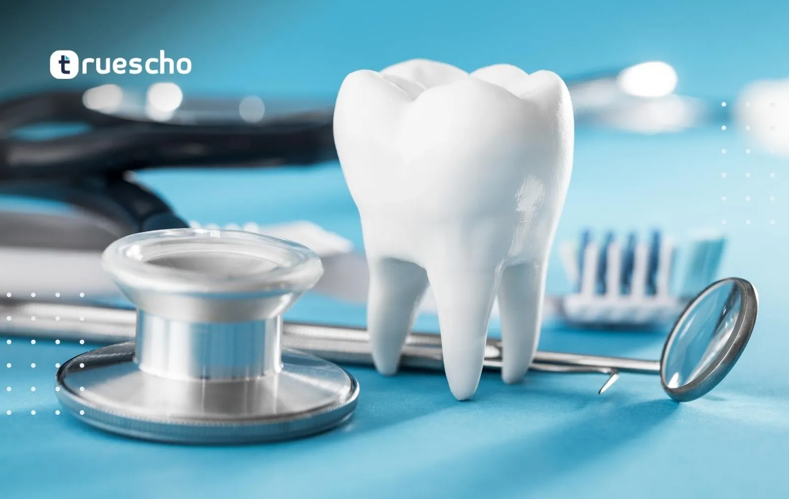 Study Dentistry in Turkey Cost