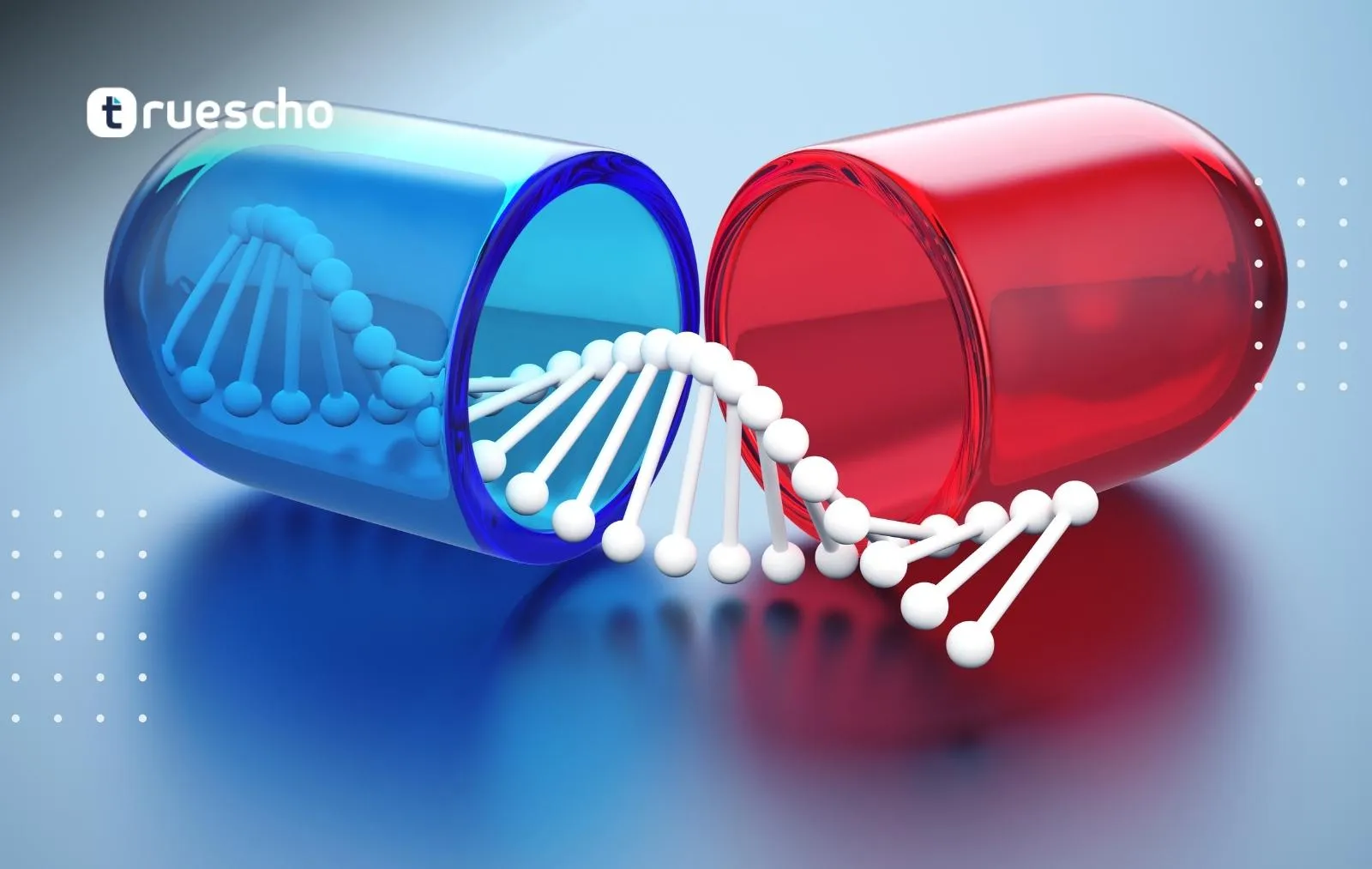 Study Medicine in English in Turkey